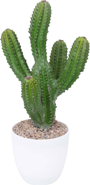 Faux Cactus